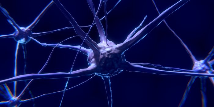 Examining the Glioma Influenced Immune System