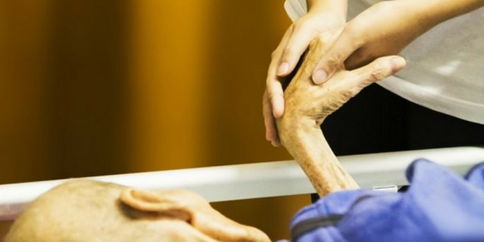 Brain Activity Detected Even After Death