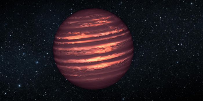 Are There 100 Billion Brown Dwarfs Hiding in the Milky Way?
