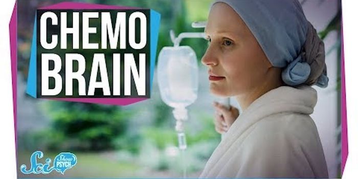 Towards an Understanding of, and Potential Treatment for Chemobrain