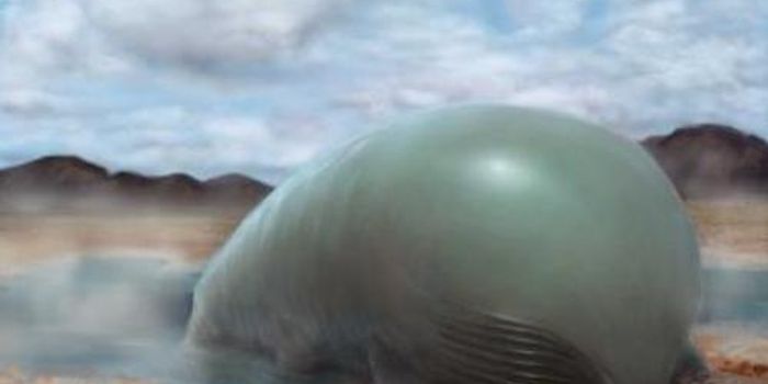 What is Molecular Engineering?