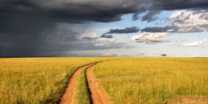 Mental Health-Where is COVID-19 Leading Us?