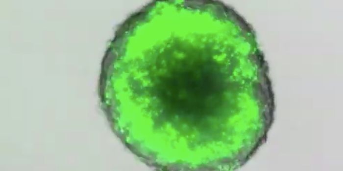 Using Engineered Bacteria to Rapidly Evaluate Therapeutics