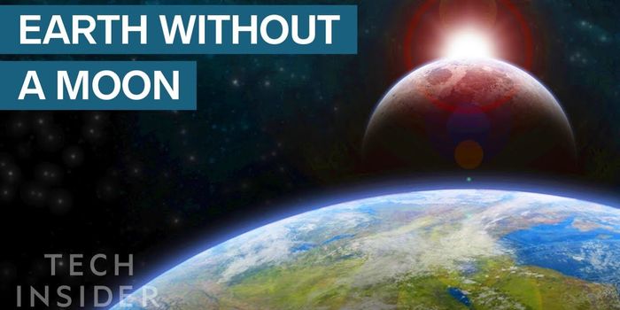 Here's How the World Would Change Without a Moon