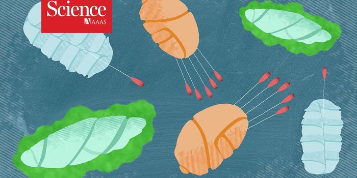 The Microbial Arms Race