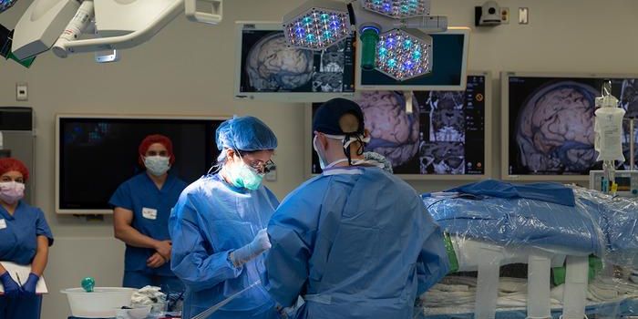 New Hope for Epilepsy Patients: Experimental Regenerative Brain Cell Therapy