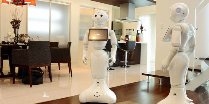 The Future House Robot?