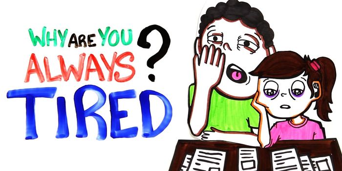 Why You Always Feel Tired Despite How Much You Sleep
