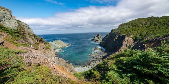 Cosmic Radiation Events shed light on Norse Settlement in the Americas