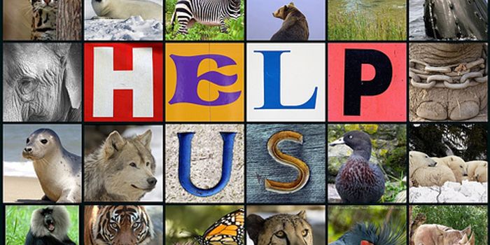 Endangered Species Act: breaking myths