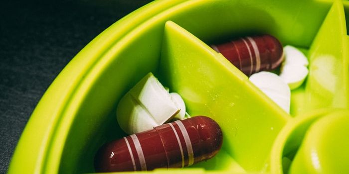 Treatment in Cat Coronavirus Could Be Effective for Humans