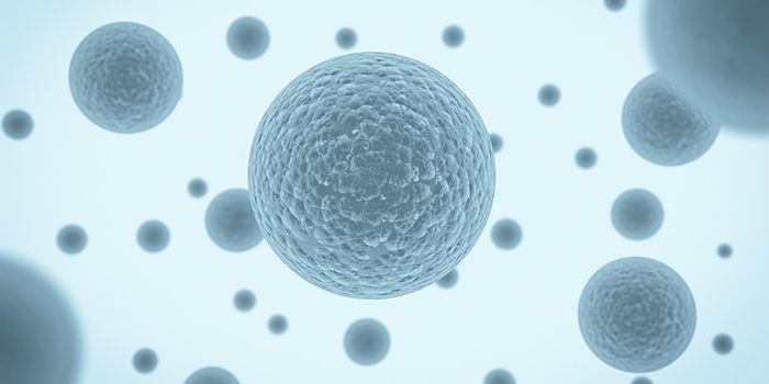 Bringing Light to Extracellular Vesicles