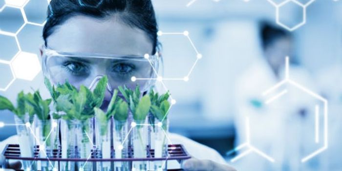 Medicinal Marijuana Standards...Deterrent or Catalyst for Industry Legitimization