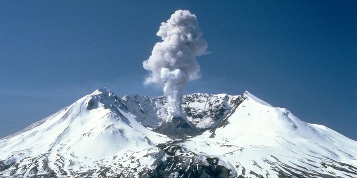 Mount St. Helens: 40 Years of Recovery