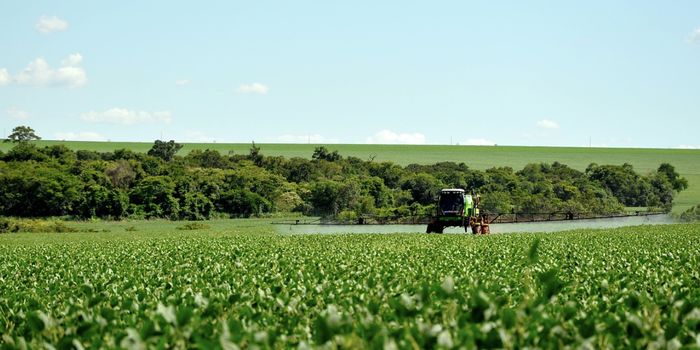 Glyphosate, Now Found in Humans, Can Cause Convulsions in Animals