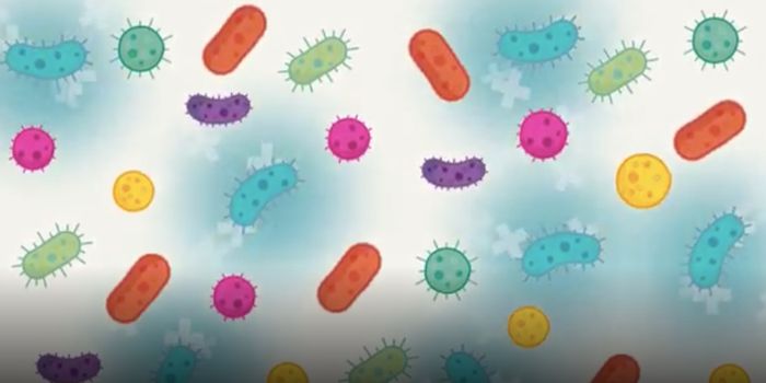 Viruses That Infect Bacteria May Impact the Environment