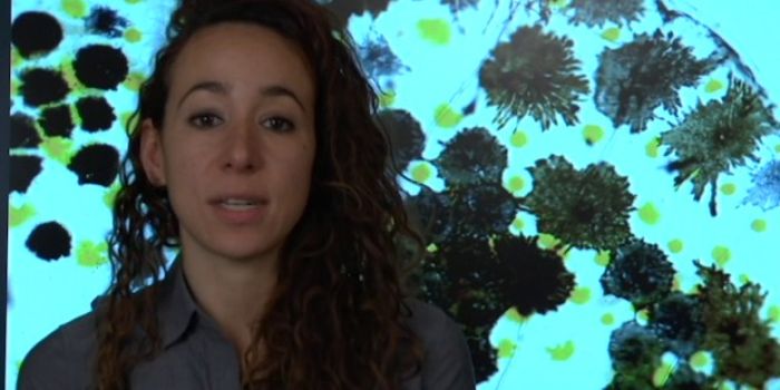 Melanoma and the Melanocyte Model