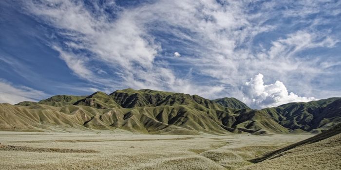 Genetic Study Reveals Humanity's Longest Migration