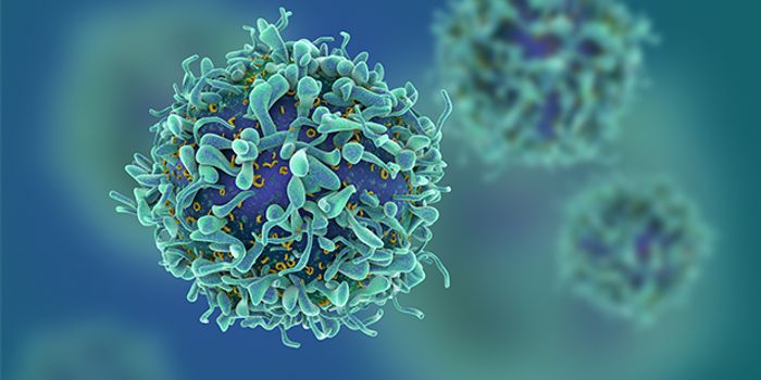 Blocking Cancer's Ability to Talk to Bone Marrow Cells