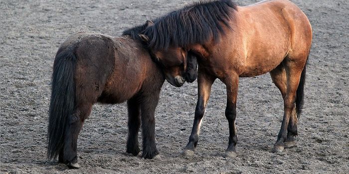 Our Genes Influence How Sensitive We Are