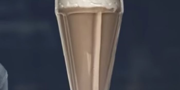 The Impact of Junk Food on the Brain