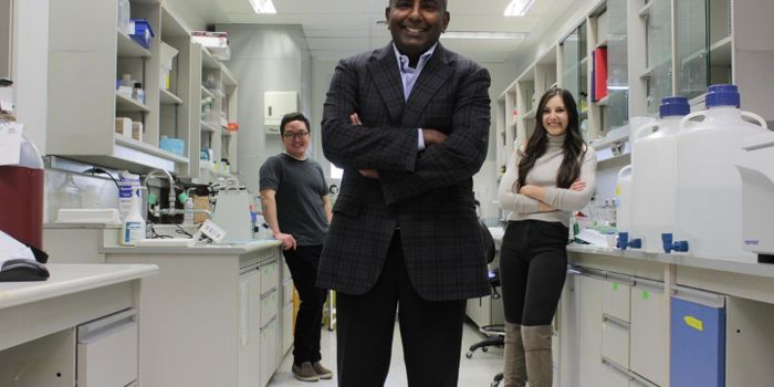 A Single-Cell Atlas Provides New Details on the Heart