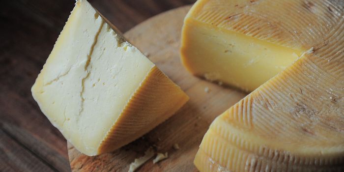 Good Bacteria Can Protect Us From the Nasty Stuff in Cheese