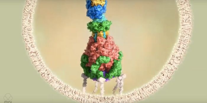Using a Bacterial Syringe to Deliver Proteins to Cells