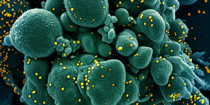 Eight Trajectories of Long COVID are Identified