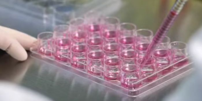 Removal of 'Bookmarks' Eases Reprogramming of Stem Cells