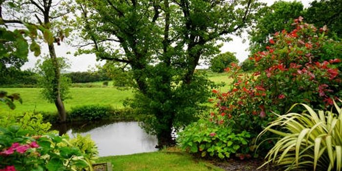 Those With Views Of Nature From Their Homes, Healthier