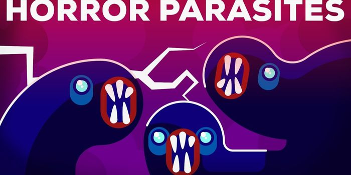 The Threat of Neglected Tropical Diseases