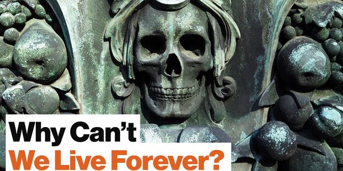 No, You Can't Live Forever