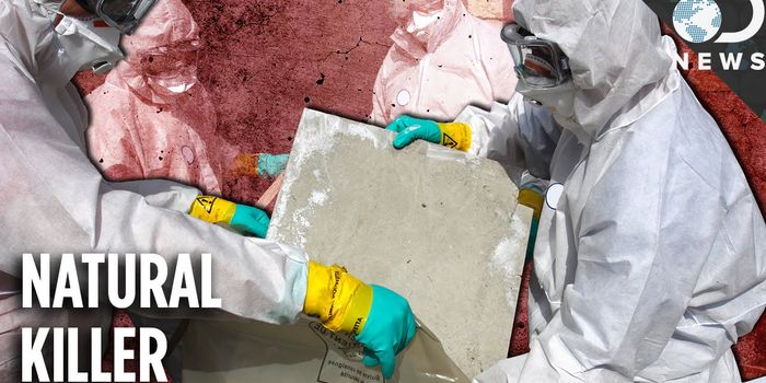 How Does Asbestos Cause Deadly Cancer