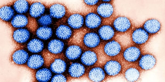 Viral RNA Can Hijack the Host by Assuming a tRNA-Like Structure