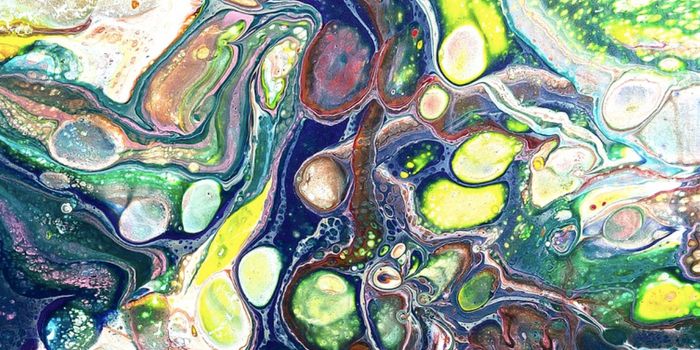 Some Immune Disorders Have an Epigenetic Basis