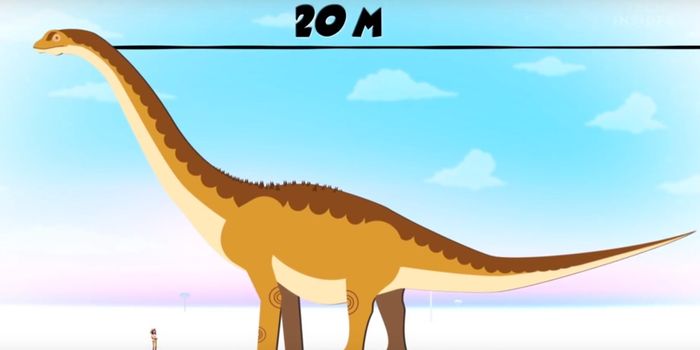 If You Thought T. Rex Was Big, Then Watch This