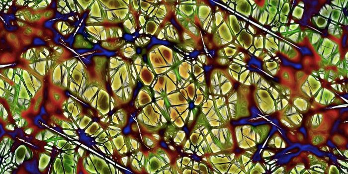 New Tech Dramatically Shortens Brain Tumor Diagnosis Wait Time