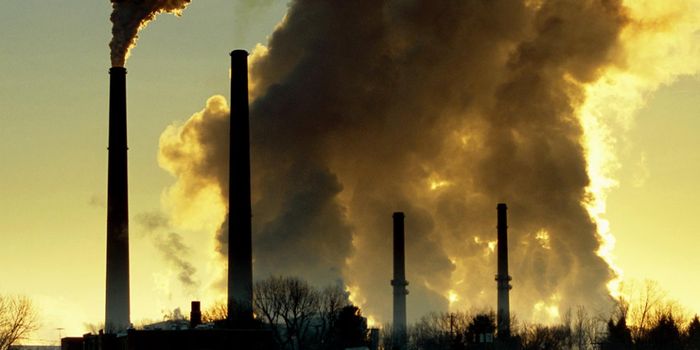 Sixteen percent of early deaths caused by pollution