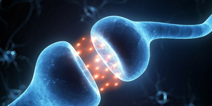 Endocannabinoid System Unique Features