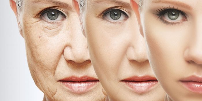 What you need to know about "Inflamm-aging"
