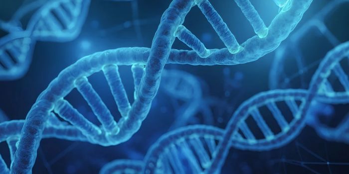 A Neurodevelopmental Disorder Affecting Thousands is Discovered