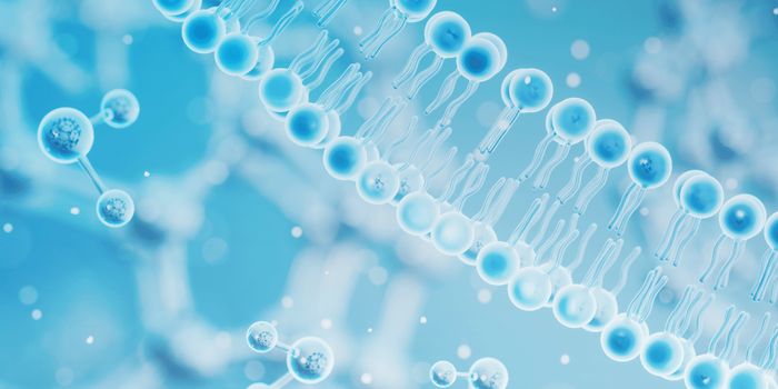 A Rapid Tool to Study Protein-Lipid Interactions