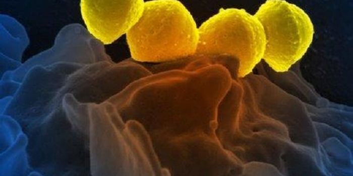 Could an HIV Drug Beat Strep Throat, Flesh-Eating Bacteria?
