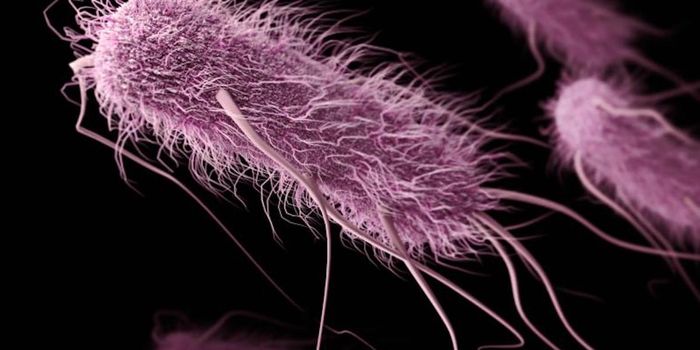 Antibiotic Resistance Genes Can Come From Random DNA Sequences