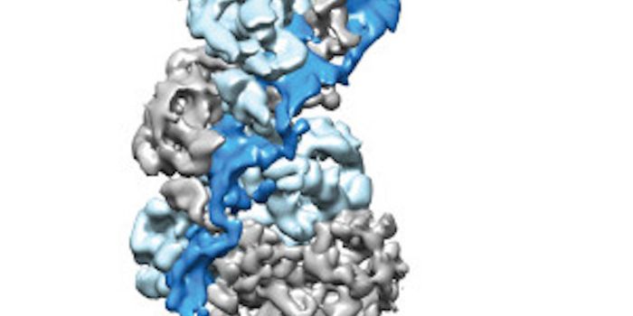 Possible New RNA Engineering Tool