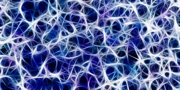 Lipid Supplement May Reduce Inflammation in MS