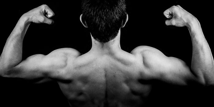 A Protein That Can Promote Growth & Prevent Atrophy in Muscle