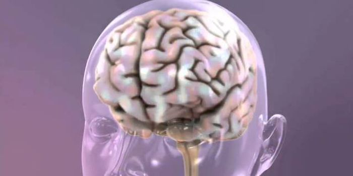 Cord Blood and Brain Injuries