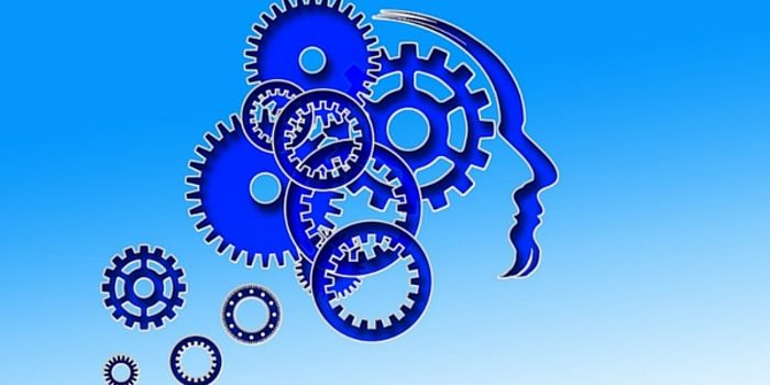 Where Do Seizures Begin?